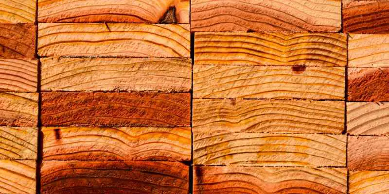 Is Cedar A Hardwood Or Softwood