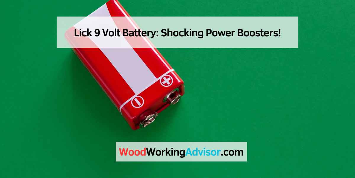 Lick 9 Volt Battery