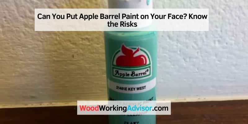 Can You Put Apple Barrel Paint on Your Face