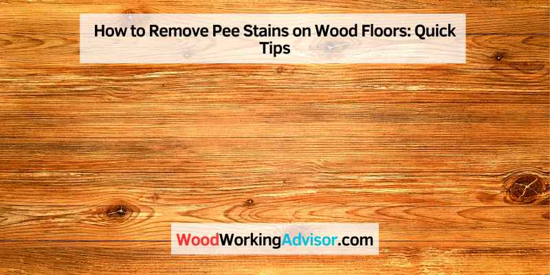 How to Remove Pee Stains on Wood Floors: Quick Tips