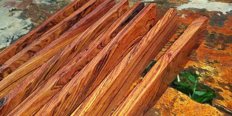 Is Cocobolo Wood Toxic