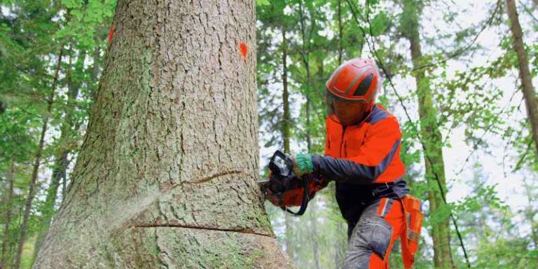 Notch Cutting 101: Step-by-Step Guide