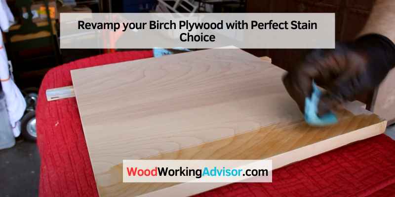 Revamp your Birch Plywood with Perfect Stain Choice