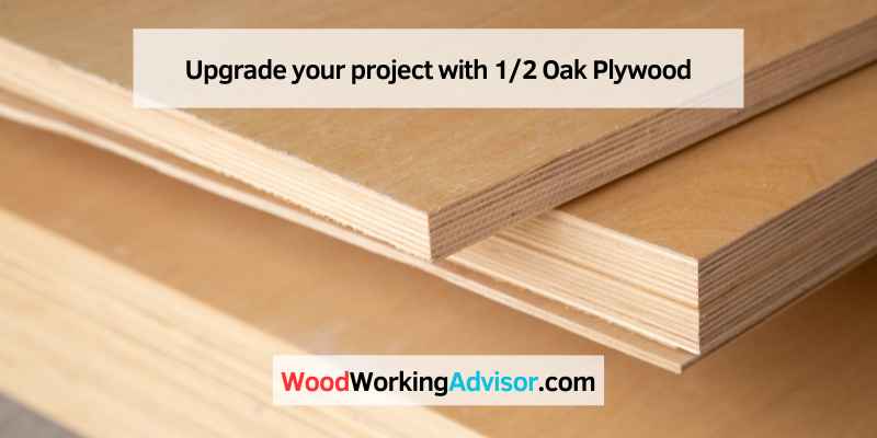 Upgrade your project with 1/2 Oak Plywood