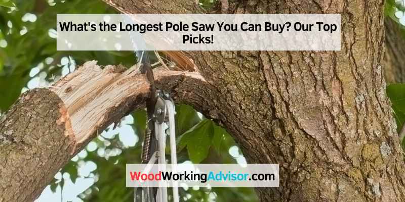 What's the Longest Pole Saw You Can Buy
