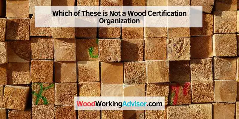 Which of These is Not a Wood Certification Organization