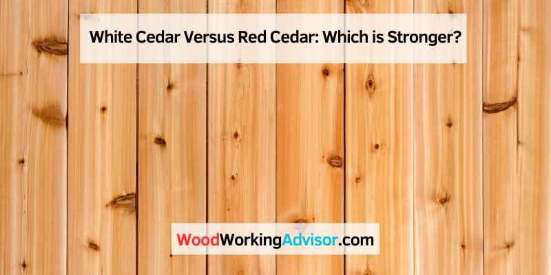 White Cedar Versus Red Cedar