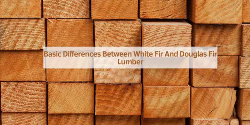 Basic Differences Between White Fir And Douglas Fir Lumber