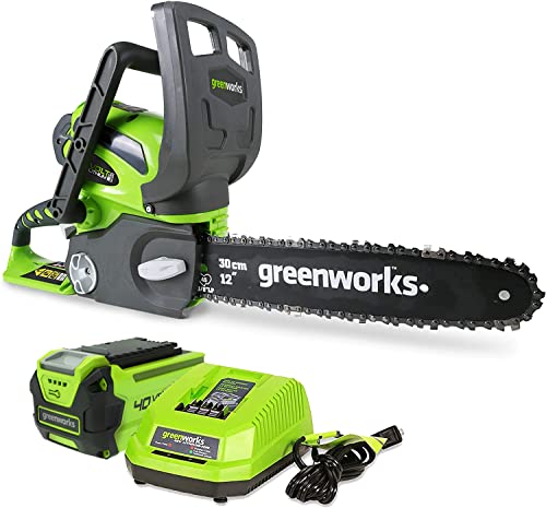 Best Battery Operated Chainsaw