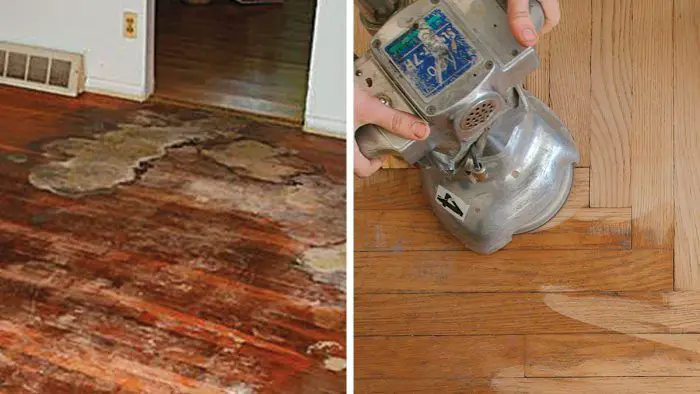 Cat Urine Stains on Hardwood Floors