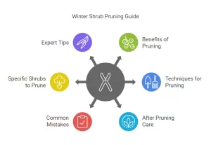 Cutting Back Shrubs for Winter