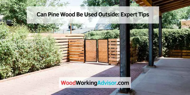 Can Pine Wood Be Used Outside