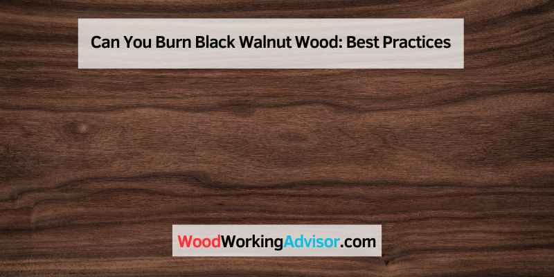 Can You Burn Black Walnut Wood