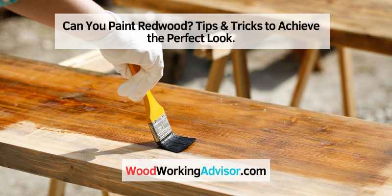 Can You Paint Redwood