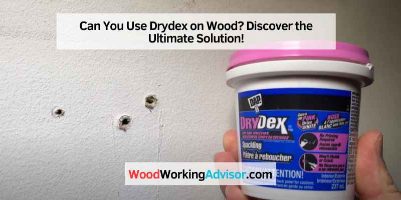Can You Use Drydex on Wood