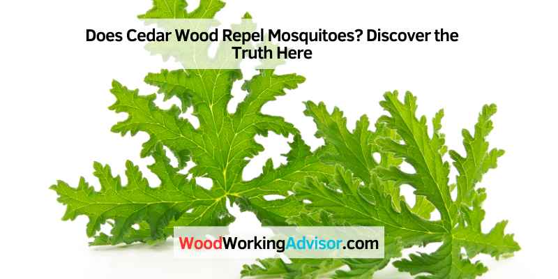 Does Cedar Wood Repel Mosquitoes