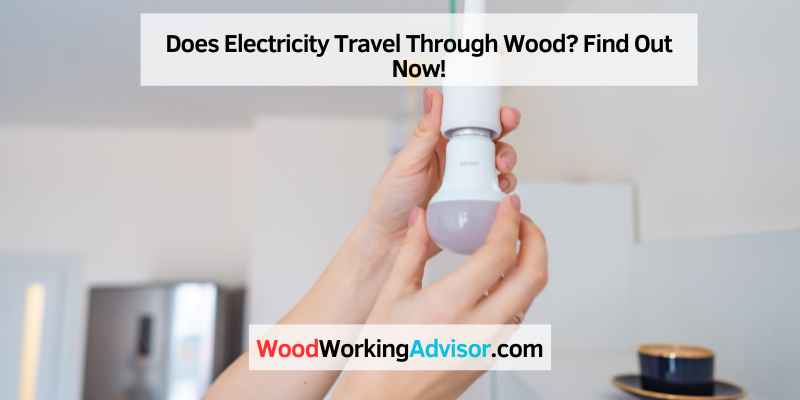 Does Electricity Travel Through Wood