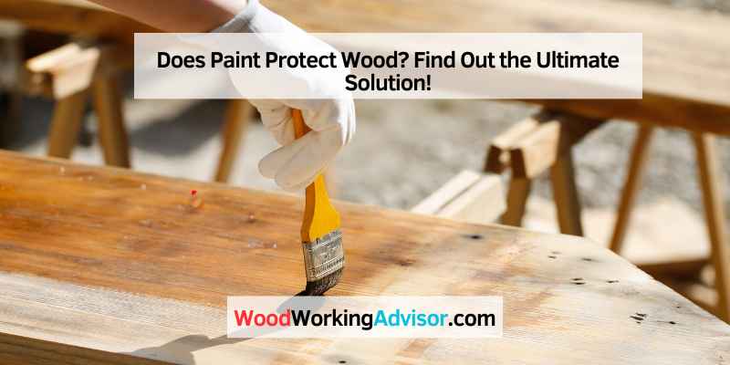 Does Paint Protect Wood