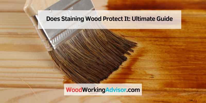 Does Staining Wood Protect It