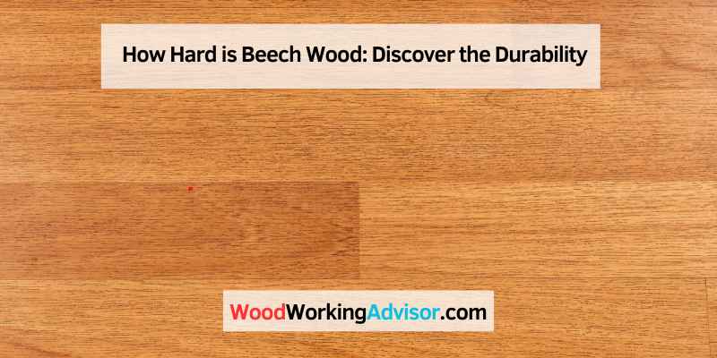 How Hard is Beech Wood