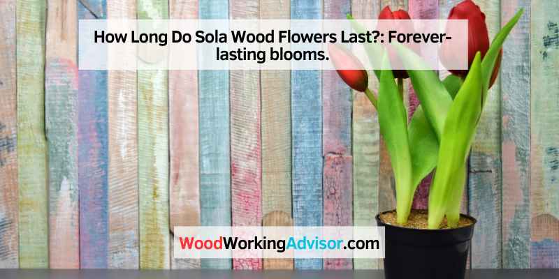 How Long Do Sola Wood Flowers Last