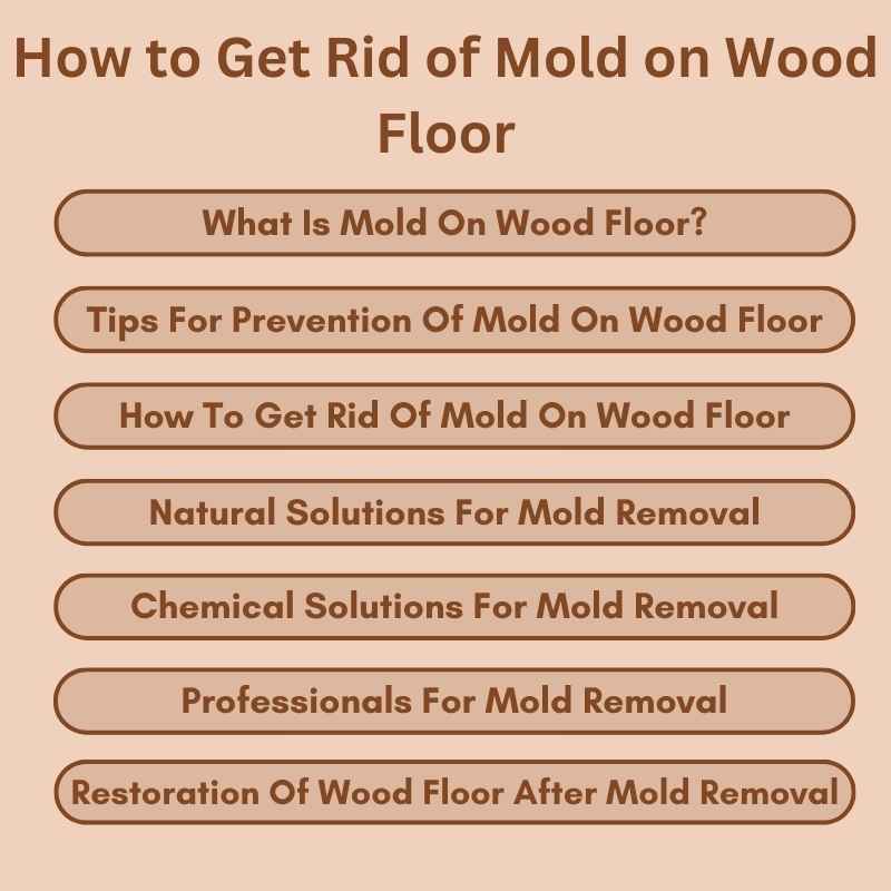 How to Get Rid of Mold on Wood Floor