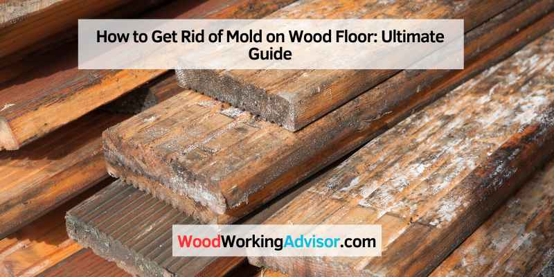 How to Get Rid of Mold on Wood Floor