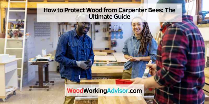 How to Protect Wood from Carpenter Bees
