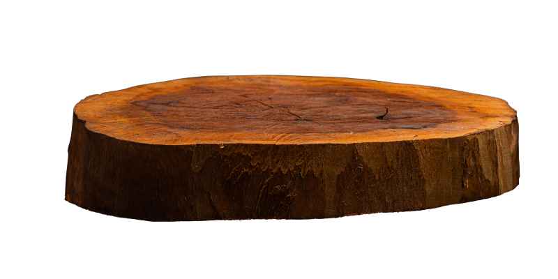 How to Seal Wood Slices for Centerpieces