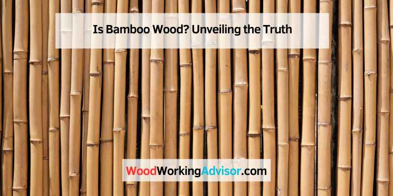 Is Bamboo Wood