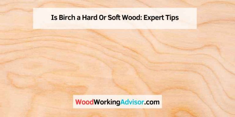 Is Birch a Hard Or Soft Wood: Expert Tips