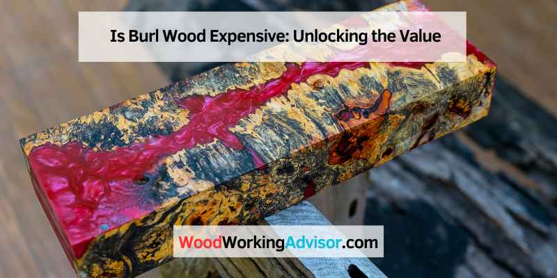 Is Burl Wood Expensive