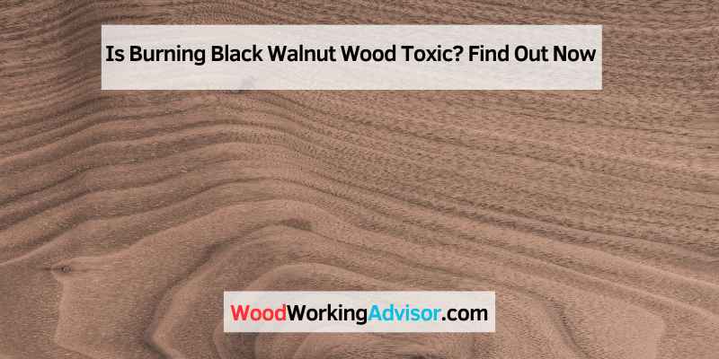 Is Burning Black Walnut Wood Toxic