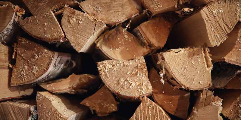 Is Poplar Wood Good for Burning