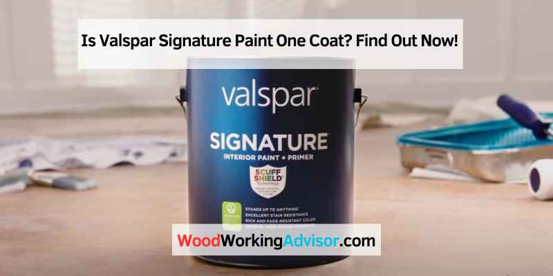 Is Valspar Signature Paint One Coat