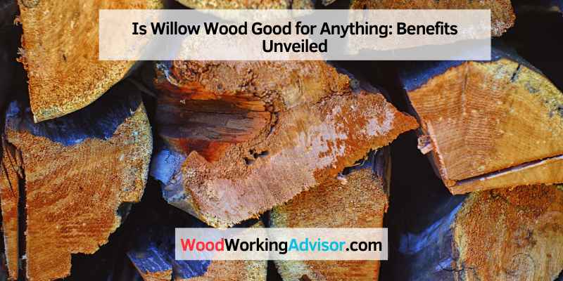 Is Willow Wood Good for Anything