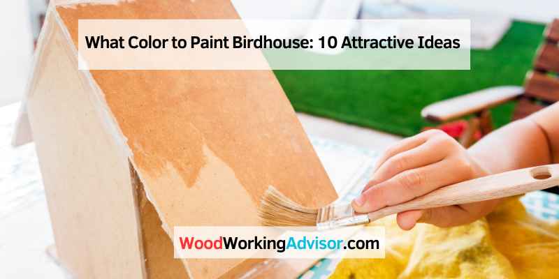 What Color to Paint Birdhouse