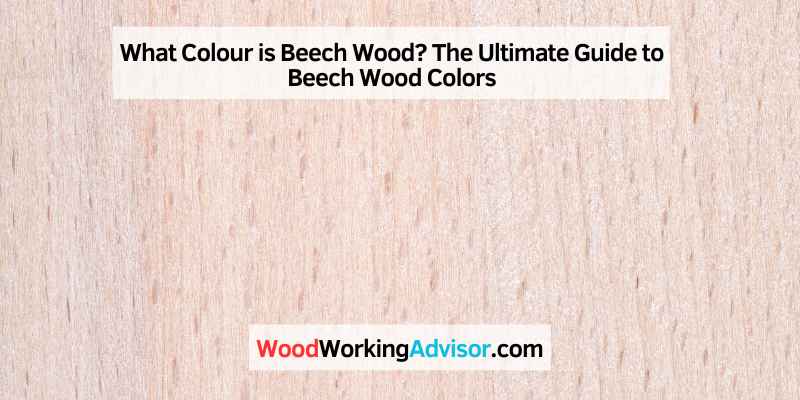 What Colour is Beech Wood