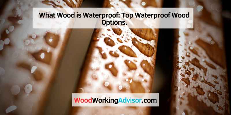 What Wood is Waterproof