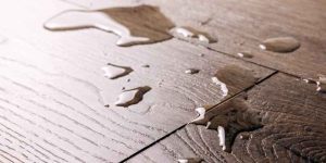 What Wood is Waterproof
