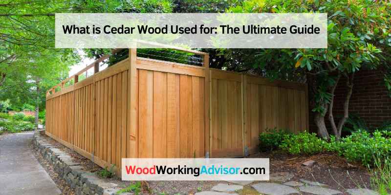 What is Cedar Wood Used for