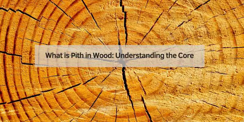 What is Pith in Wood
