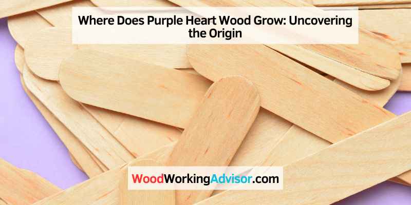 Where Does Purple Heart Wood Grow