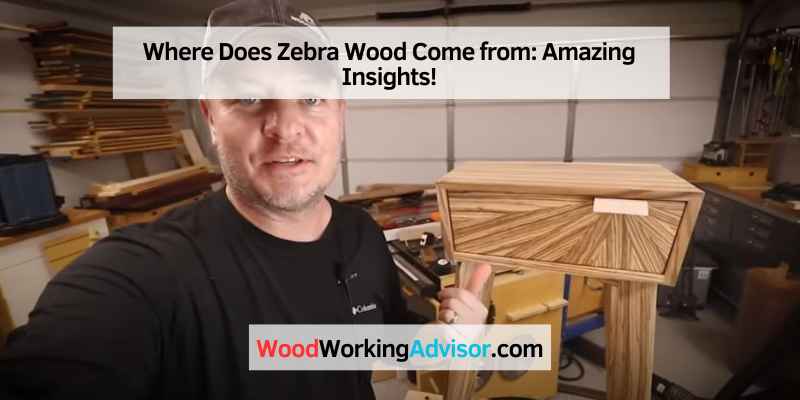 Where Does Zebra Wood Come from