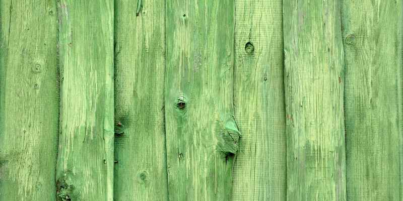 Why Does Wood Turn Green