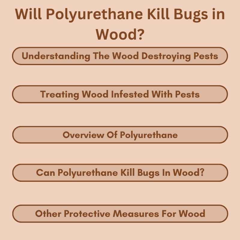 Will Polyurethane Kill Bugs in Wood