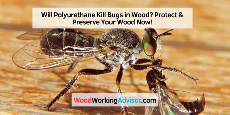 Will Polyurethane Kill Bugs in Wood