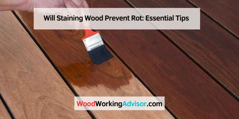 Will Staining Wood Prevent Rot