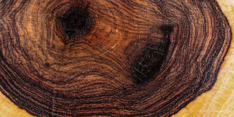 African Blackwood Wood