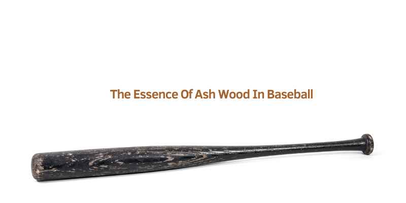 The Essence Of Ash Wood In Baseball
